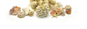 Paradise Collection