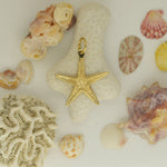 14K Gold Starfish pendant - eGallery Shoppe