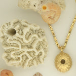 14K Gold Sea Urchin - eGallery Shoppe