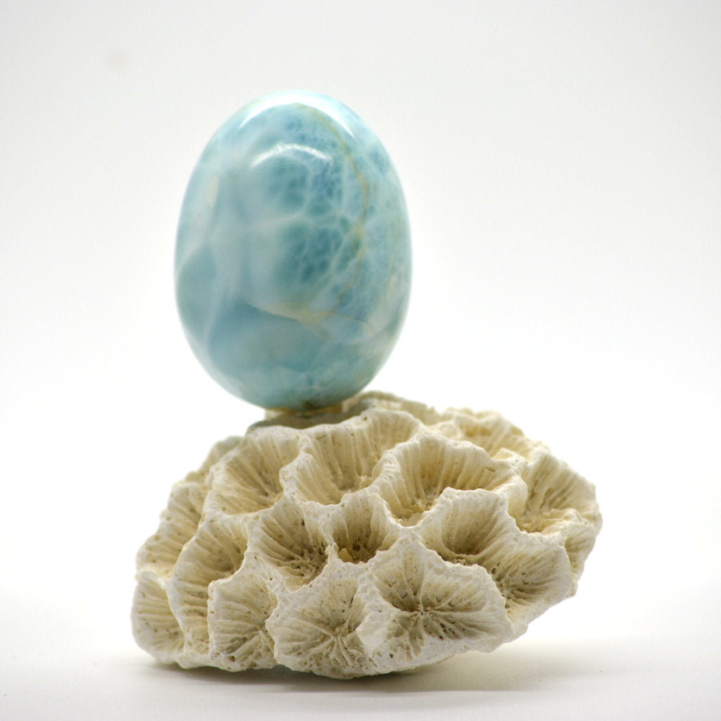 Carving of Large Larimar Egg 105g - eGallery Shoppe
